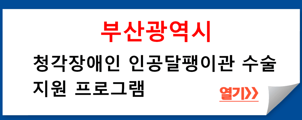 부산광역시 청각장애인 인공달팽이관 수술 지원 프로그램