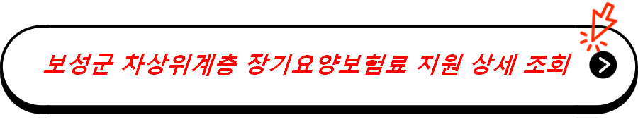 보성군 차상위계층 장기요양보험료 지원 상세 조회