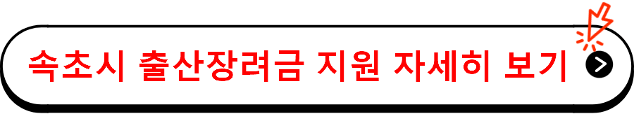 속초시 출산장려금 지원 자세히 보기