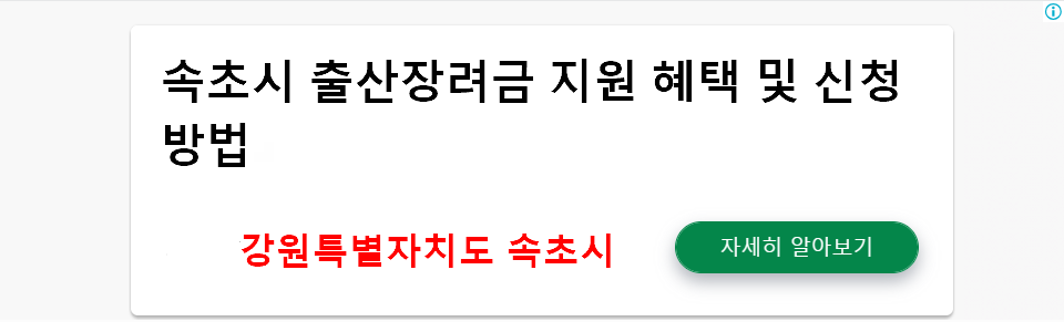 속초시 출산장려금 지원 혜택 및 신청 방법 - 강원특별자치도 속초시