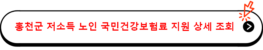 홍천군 저소득 노인 국민건강보험료 지원 상세 조회