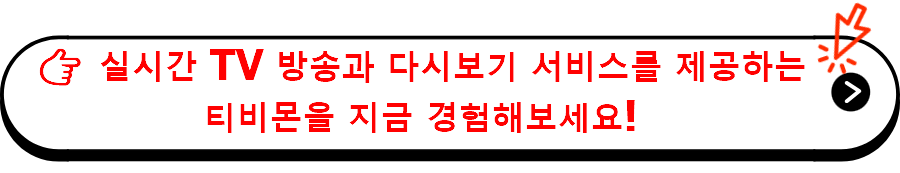 실시간 TV 방송과 다시보기 서비스를 제공하는 티비몬을 지금 경험해보세요!