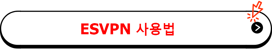 ESVPN 사용법