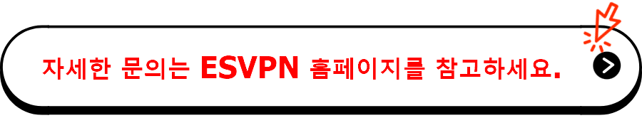 자세한 문의는 ESVPN 홈페이지를 참고하세요.