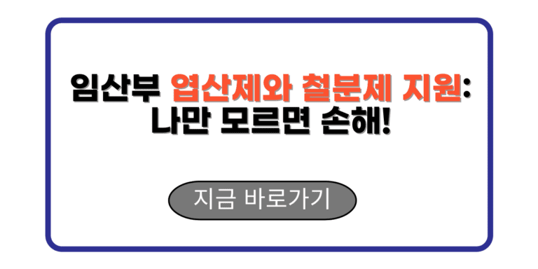 임산부 엽산제와 철분제 지원: 나만 모르면 손해!